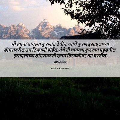 Picture 06 - यहेज्केल 34:14 MARIRV - मी त्यांना - Bible Verse Picture