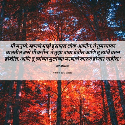 Picture 06 - यहेज्केल 36:12 MARIRV - मी मनुष्ये, म्हणजे - Bible Verse Picture