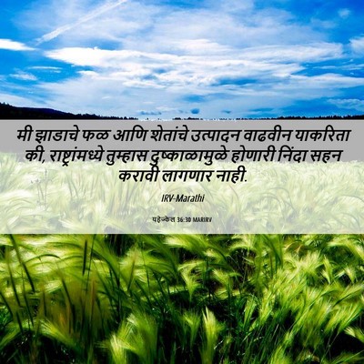 Picture 06 - यहेज्केल 36:30 MARIRV - मी झाडाचे फळ आणि - Bible Verse Picture