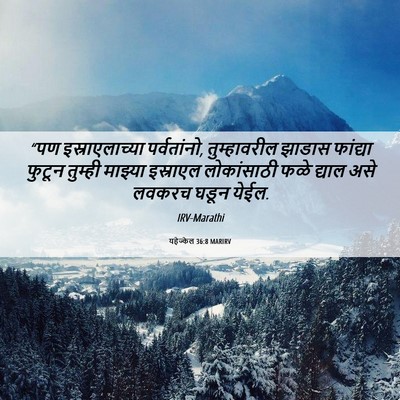 Picture 06 - यहेज्केल 36:8 MARIRV - “पण इस्राएलाच्या - Bible Verse Picture