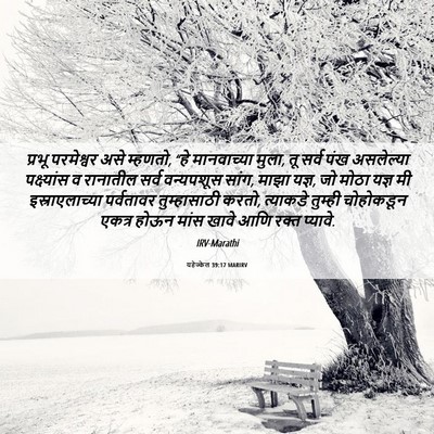 Picture 06 - यहेज्केल 39:17 MARIRV - प्रभू परमेश्वर - Bible Verse Picture