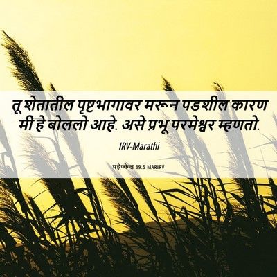 Picture 06 - यहेज्केल 39:5 MARIRV - तू शेतातील - Bible Verse Picture