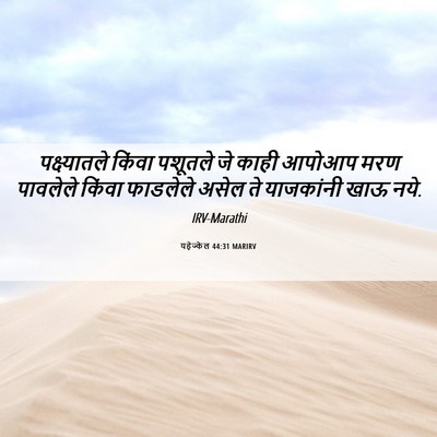 Picture 06 - यहेज्केल 44:31 MARIRV - पक्ष्यातले किंवा - Bible Verse Picture