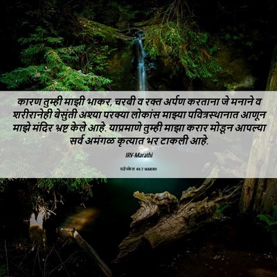 Picture 06 - यहेज्केल 44:7 MARIRV - कारण तुम्ही माझी - Bible Verse Picture
