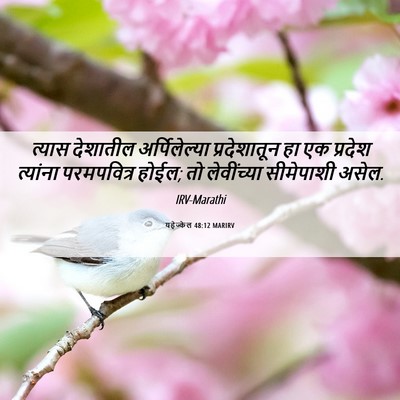 Picture 06 - यहेज्केल 48:12 MARIRV - त्यास देशातील - Bible Verse Picture