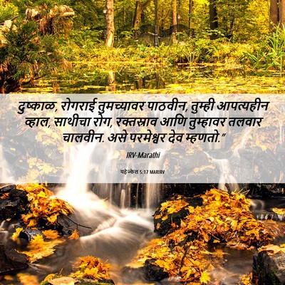 Picture 06 - यहेज्केल 5:17 MARIRV - दुष्काळ, रोगराई - Bible Verse Picture