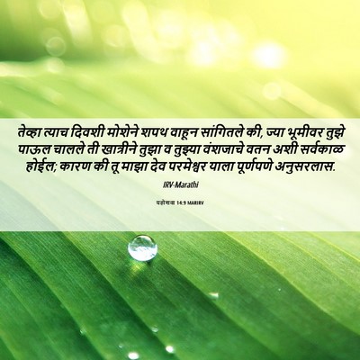 Picture 06 - यहोशवा 14:9 MARIRV - तेव्हा त्याच - Bible Verse Picture