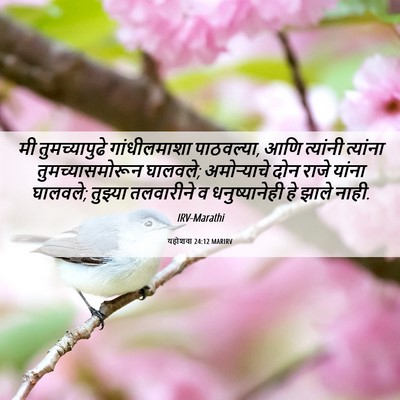 Picture 06 - यहोशवा 24:12 MARIRV - मी तुमच्यापुढे - Bible Verse Picture