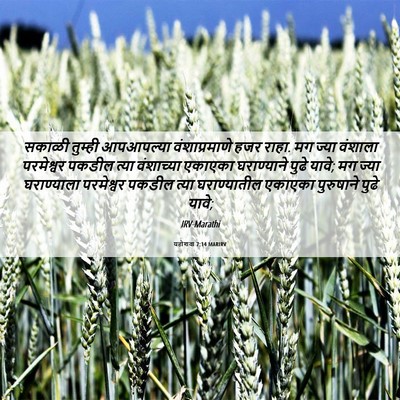 Picture 06 - यहोशवा 7:14 MARIRV - सकाळी तुम्ही - Bible Verse Picture