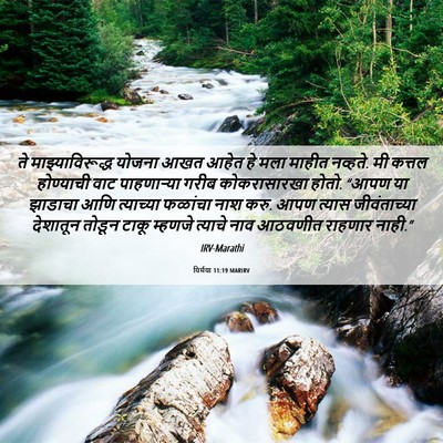Picture 06 - यिर्मया 11:19 MARIRV - ते माझ्याविरूद्ध - Bible Verse Picture