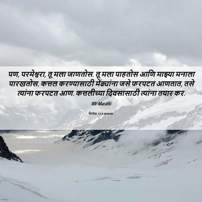 Picture 06 - यिर्मया 12:3 MARIRV - पण, परमेश्वरा, तू - Bible Verse Picture