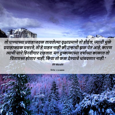 Picture 06 - यिर्मया 17:8 MARIRV - तो पाण्याच्या - Bible Verse Picture
