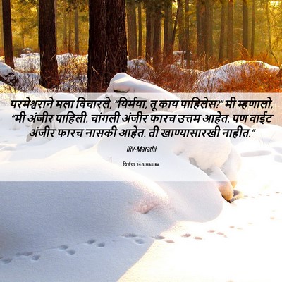 Picture 06 - यिर्मया 24:3 MARIRV - परमेश्वराने मला - Bible Verse Picture