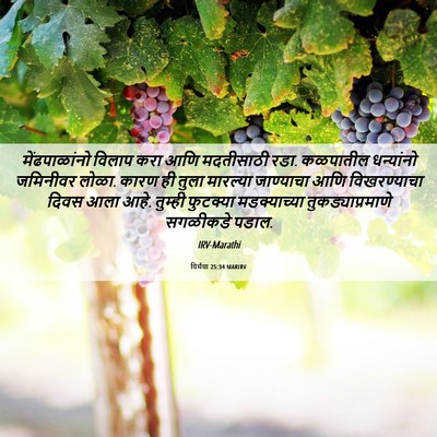 Picture 06 - यिर्मया 25:34 MARIRV - मेंढपाळांनो विलाप - Bible Verse Picture