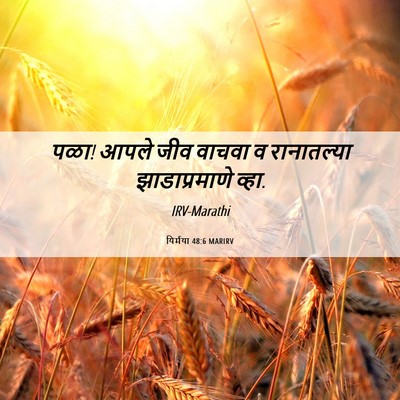 Picture 06 - यिर्मया 48:6 MARIRV - पळा! आपले जीव वाचवा - Bible Verse Picture