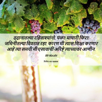Picture 06 - यिर्मया 49:8 MARIRV - ददानातल्या - Bible Verse Picture