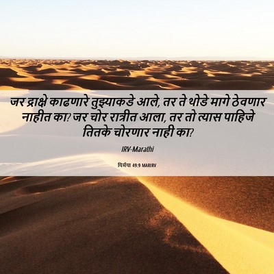 Picture 06 - यिर्मया 49:9 MARIRV - जर द्राक्षे - Bible Verse Picture