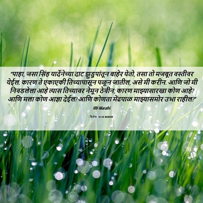 Picture 06 - यिर्मया 50:44 MARIRV - “पाहा, जसा सिंह - Bible Verse Picture