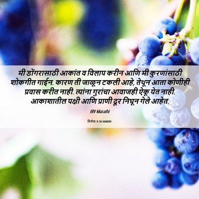 Picture 06 - यिर्मया 9:10 MARIRV - मी डोंगरासाठी - Bible Verse Picture
