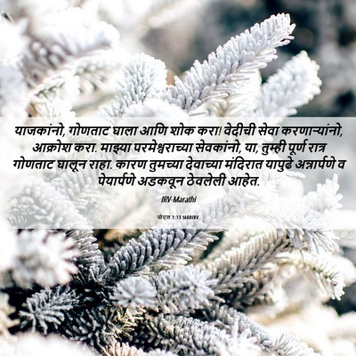 Picture 06 - योएल 1:13 MARIRV - याजकांनो, गोणताट - Bible Verse Picture