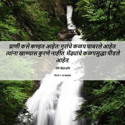 Picture 06 - योएल 1:18 MARIRV - प्राणी कसे कण्हत - Bible Verse Picture