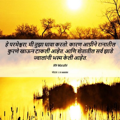 Picture 06 - योएल 1:19 MARIRV - हे परमेश्वरा, मी - Bible Verse Picture