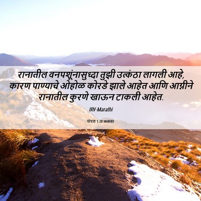Picture 06 - योएल 1:20 MARIRV - रानातील - Bible Verse Picture
