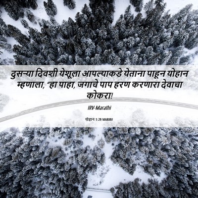 Picture 06 - योहान 1:29 MARIRV - दुसर्‍या दिवशी - Bible Verse Picture
