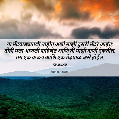 Picture 06 - योहान 10:16 MARIRV - या मेंढवाड्यातली - Bible Verse Picture
