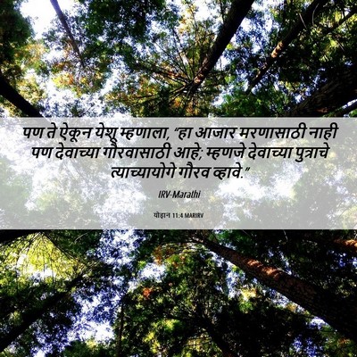 Picture 06 - योहान 11:4 MARIRV - पण ते ऐकून येशू - Bible Verse Picture