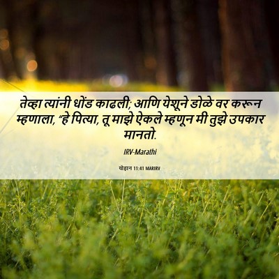 Picture 06 - योहान 11:41 MARIRV - तेव्हा त्यांनी - Bible Verse Picture