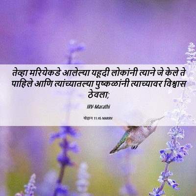 Picture 06 - योहान 11:45 MARIRV - तेव्हा मरियेकडे - Bible Verse Picture
