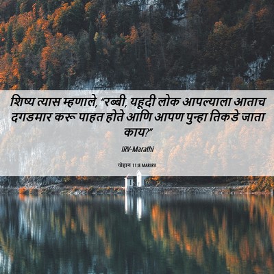 Picture 06 - योहान 11:8 MARIRV - शिष्य त्यास - Bible Verse Picture
