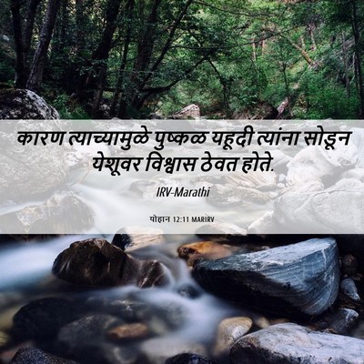 Picture 06 - योहान 12:11 MARIRV - कारण त्याच्यामुळे - Bible Verse Picture