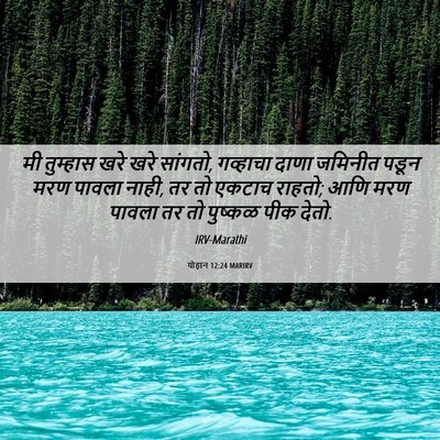 Picture 06 - योहान 12:24 MARIRV - मी तुम्हास खरे खरे - Bible Verse Picture