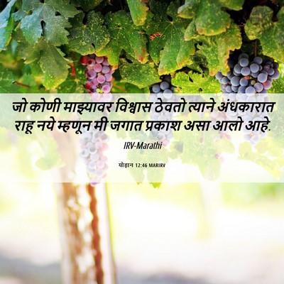 Picture 06 - योहान 12:46 MARIRV - जो कोणी माझ्यावर - Bible Verse Picture