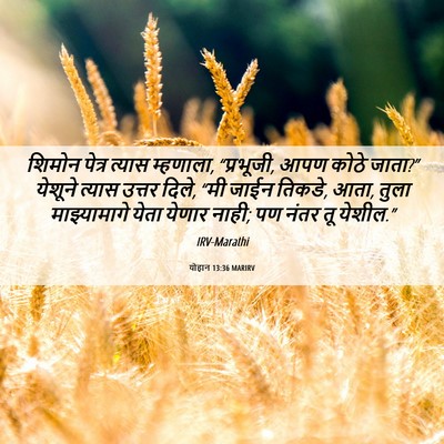 Picture 06 - योहान 13:36 MARIRV - शिमोन पेत्र त्यास - Bible Verse Picture