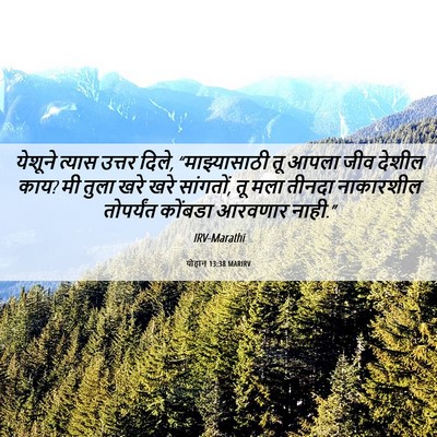 Picture 06 - योहान 13:38 MARIRV - येशूने त्यास - Bible Verse Picture