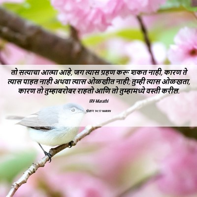 Picture 06 - योहान 14:17 MARIRV - तो सत्याचा आत्मा - Bible Verse Picture