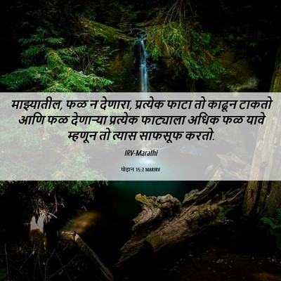 Picture 06 - योहान 15:2 MARIRV - माझ्यातील, फळ न - Bible Verse Picture