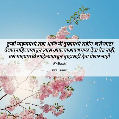 Picture 06 - योहान 15:4 MARIRV - तुम्ही - Bible Verse Picture