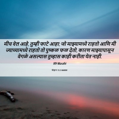 Picture 06 - योहान 15:5 MARIRV - मीच वेल आहे, तुम्ही - Bible Verse Picture