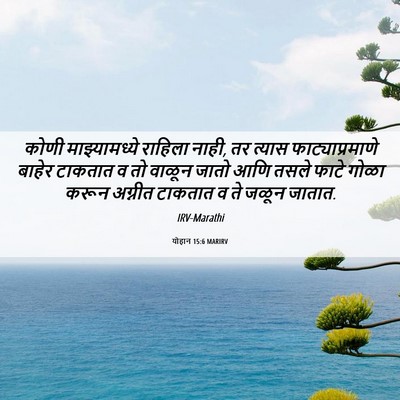 Picture 06 - योहान 15:6 MARIRV - कोणी माझ्यामध्ये - Bible Verse Picture