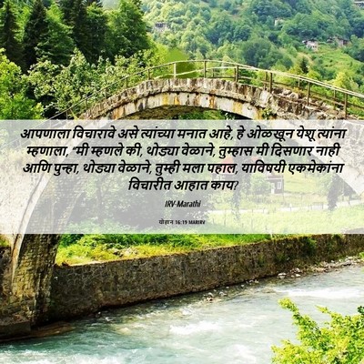 Picture 06 - योहान 16:19 MARIRV - आपणाला विचारावे - Bible Verse Picture