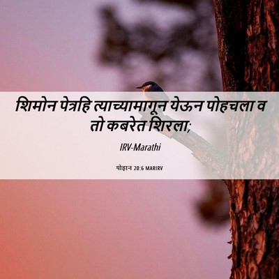 Picture 06 - योहान 20:6 MARIRV - शिमोन पेत्रहि - Bible Verse Picture