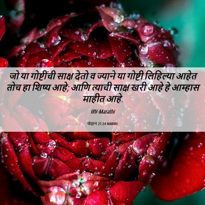 Picture 06 - योहान 21:24 MARIRV - जो या गोष्टींची - Bible Verse Picture