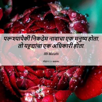 Picture 06 - योहान 3:1 MARIRV - परूश्यांपैकी - Bible Verse Picture