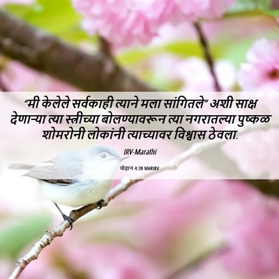 Picture 06 - योहान 4:39 MARIRV - “मी केलेले - Bible Verse Picture