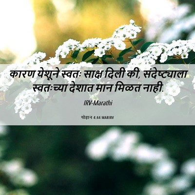 Picture 06 - योहान 4:44 MARIRV - कारण येशूने स्वतः - Bible Verse Picture