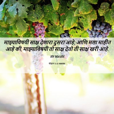 Picture 06 - योहान 5:32 MARIRV - माझ्याविषयी साक्ष - Bible Verse Picture